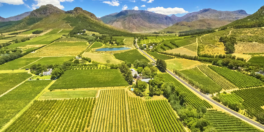 Cape Winelands Luxury Tour