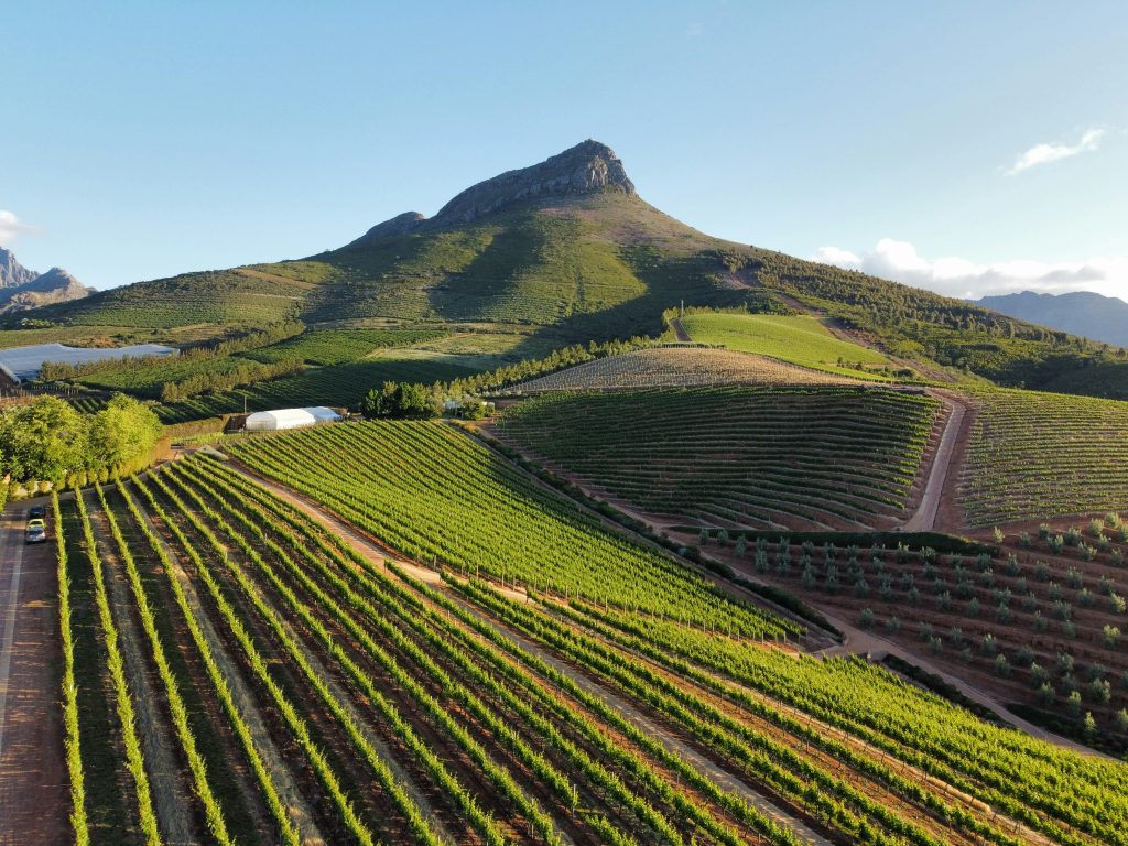 Franschhoek Wine Tour Chauffeur